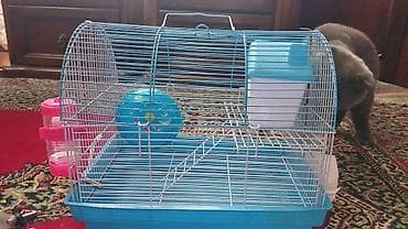 böyük qefes: Hamster qəfəsi – tam komplekt - Rəng: mavi (metaldan barmaqlıqlar — 4