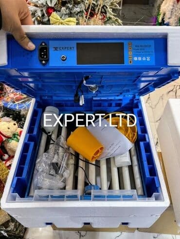 hinduska yumurtasi nece gune cixir: Expert şirkətinin rəsmi istehsalı olan, android-rejimli aparatların — 7