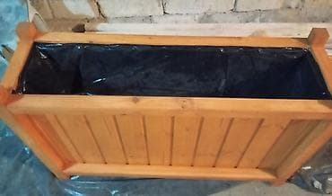 Саженцы деревьев: 100x30x50dipcek Bitki elave hesablanir Bitkinin hundurluyu 60-70sm — 3