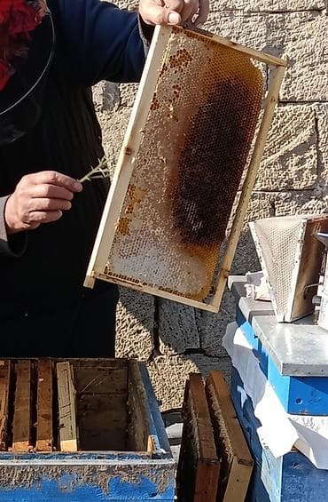 Ət məhsulları: Salam aleykum təbii balın 1kq 35 manat — 1