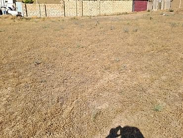 6 sot, Tikinti, Mülkiyyətçi, Kupça (Çıxarış) lalafo.az -da 6 sot, Tikinti, Mülkiyyətçi, Kupça (Çıxarış)