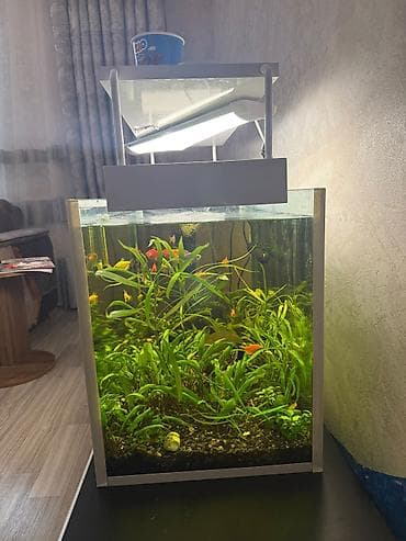 akvarium qrunt: Komplektdə görünən əsas hissələr: - Şüşə akvarium - Üst hissədə — 3