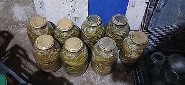 Şirniyyat məhsulları: Xelyer tursu 3 kloyluqu 20Manat Təsvir: - Şüşə bankalarda (təxminən — 2