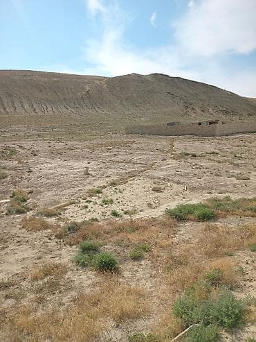 basavik satisi: 5 sot — 3