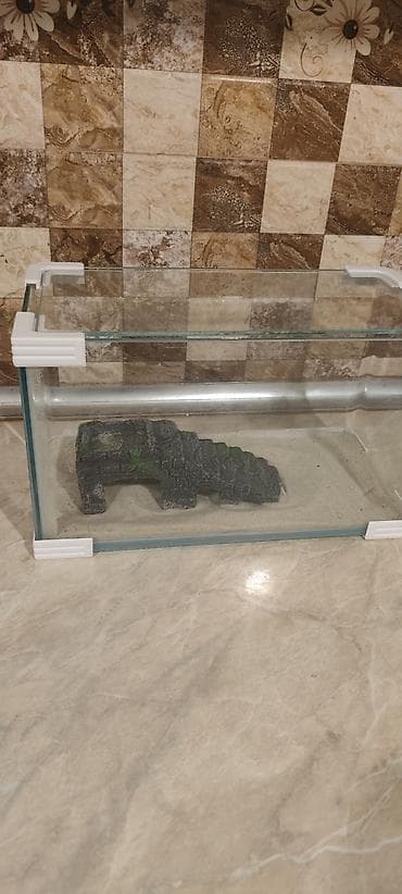 akvarum baliqlari: Şüşə akvarium seti - Material: şəffaf qalın şüşə, möhkəm bucaqlıq — 1