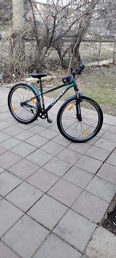 velosiped aksesuari: Şəhər velosipedi 29" — 4