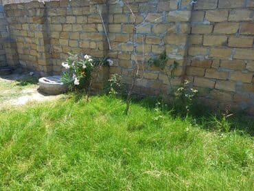 недвижимость в баку из рук в руки: 2 sot, Tikinti, Mülkiyyətçi, Kupça (Çıxarış) — 4