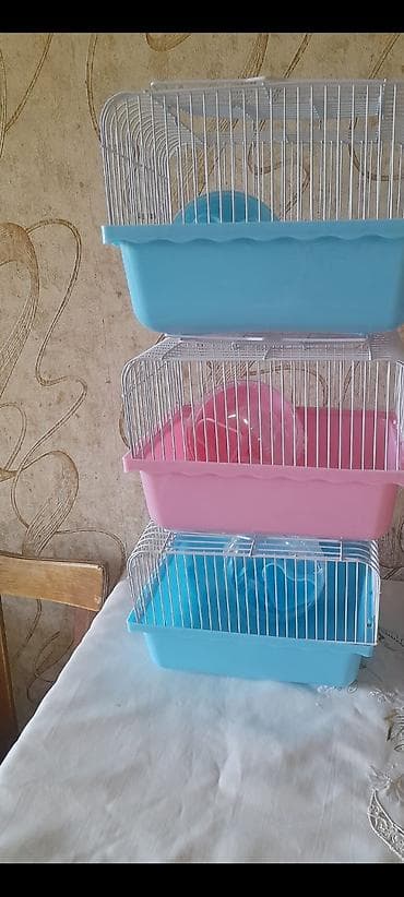 hamster qiymətləri: Yashil qefes 25 azn basqa qefeslerde var tezediler qiymeti 15 aznden — 2