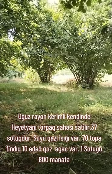 yaşma torpaq satilir: 37 sot — 1