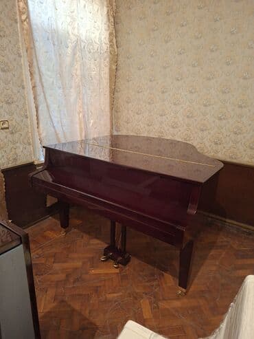 Musiqi alətləri: Royal, Akustik, Yeni, Pulsuz çatdırılma — 5