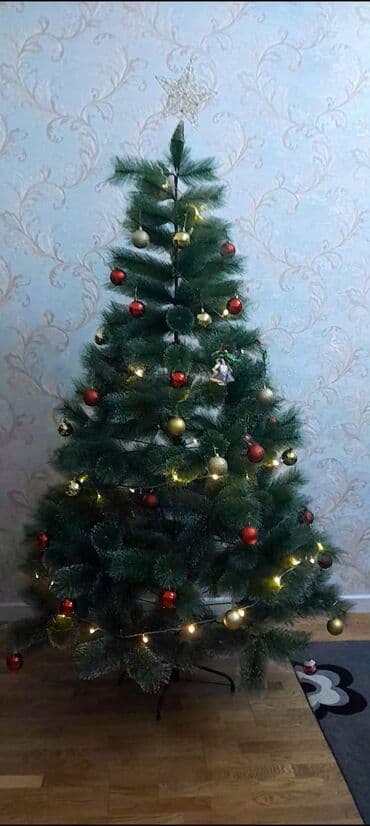 Yolka satılır. 2met Qiymət 80 azn Aksesuarlarıya birgə verilir. Ünvan lalafo.az -da Yolka satılır. 2met Qiymət 80 azn Aksesuarlarıya birgə verilir. Ünvan