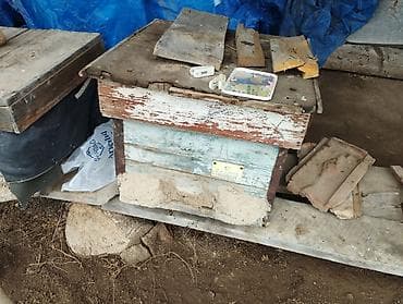 ucuz keci: Arıxana avadanlığı – taxta pətəklər və gövdələr - Məhsul: Arıçılıq — 5