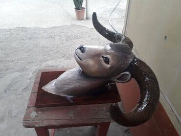 test book testler: Qoç heykəli qipstəndi buynuzlar təbiidi — 1