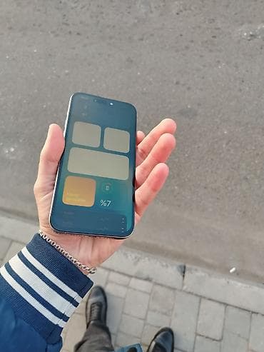 lalafo iphone 14: IPhone 15 Pro Max, Gümüşü, Face ID — 6