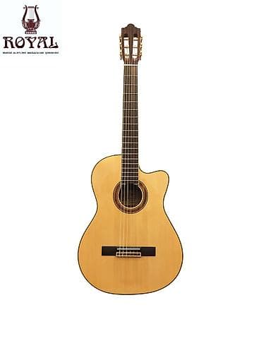 gitara temiri: Elektro klasik gitara.Smiger CG-420.Çanta və kabel hədiyyə — 1