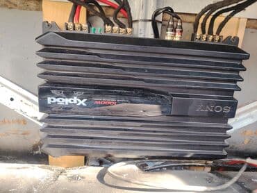 Dinamiklər və sabvuferlər: Maqnitol, Pioneer, RSA — 2