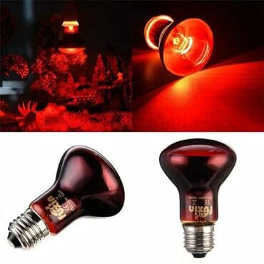 bütün kateqoriyalar: Qizdirici infrared lampa Qızdırıcı keramik lampalar Inkubator və — 3