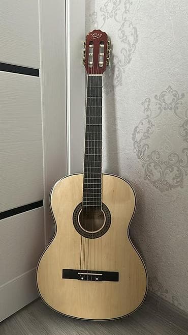 Klassik gitara, Fender, Yeni, Pulsuz çatdırılma