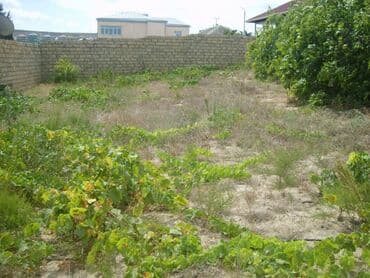 dübəndi torpaq: 14 sot, Tikinti, Makler, Kupça (Çıxarış) — 1