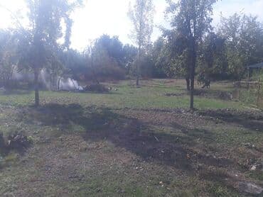 qubada torpag: 35 sot, Tikinti, Mülkiyyətçi, Kupça (Çıxarış) — 3