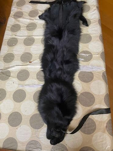 Чернобурка