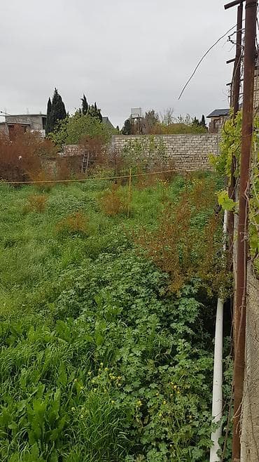 torpaqlar: 6 sot, Tikinti, Kupça (Çıxarış) — 4