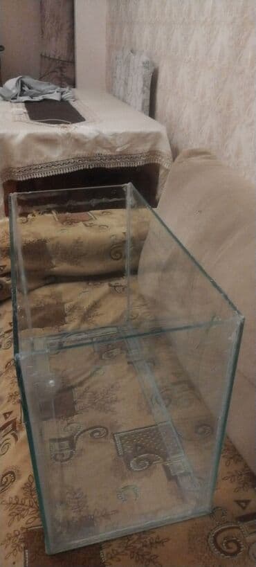 pulsuz pişik balaları: Şüşə akvarium - Material: şəffaf şüşə, künclər - Forması: düzbucaqlı — 1