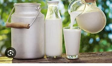 Təbii kənd südü salam hər vaxtı xeyir olsun gündəlik 100 litr opdavoy