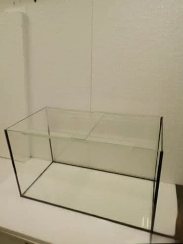 фильтр для аквариума: Şüşə akvarium Akvariumu istəyə görə boş yaxud bitki və canlılarla — 2