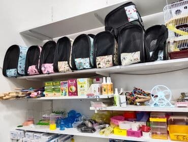 домик для кошек: Zoo mallar — 4