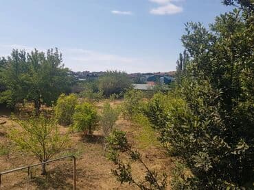 24 sot, Tikinti, Makler, Kupça (Çıxarış)