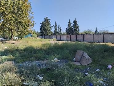 42 sot, Biznes üçün, Maklerlər narahat etməsin, Kupça (Çıxarış) — 10