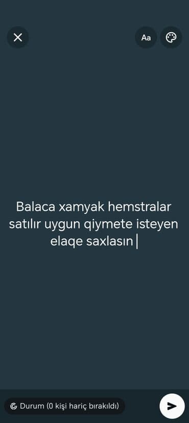 Məhsul: Balaca xamyaklar (hamsterlər) Təsvir: - Kiçik ölçülü, evdə