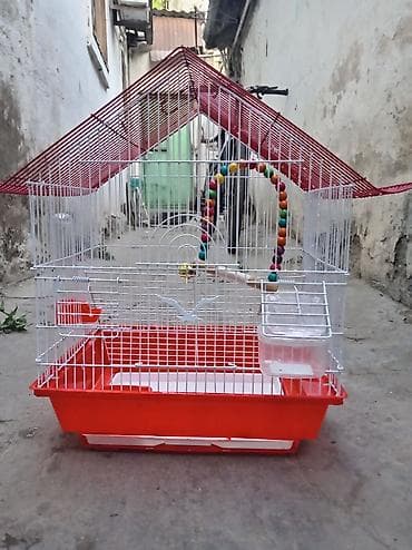 qefes boyuk: Endirim olunacaq) Quş qəfəsi – dekorativ “dam” formalı model - — 3