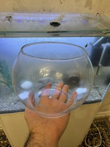 3D panellər: Yumru akvarium, Boş, 3 l — 4