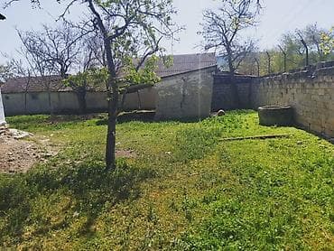 şirvan ev alqi satqisi: Satılır: kənd təsərrüfatı təyinatlı obyekt və geniş həyət sahəsi - — 4