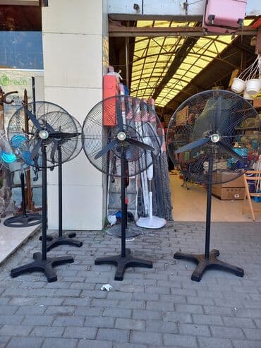 tavan üçün ventilyator: Ventilyator Yeni, Tavan üçün, Pərli, Kredit var, Ünvandan götürmə, Pulsuz çatdırılma, Rayonlara çatdırılma — 1