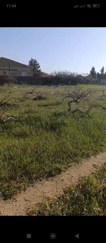 sahə: Tikinti, Mülkiyyətçi, Kupça (Çıxarış) — 2