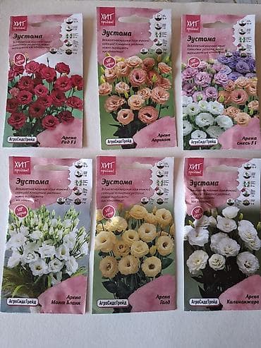 Eustoma (lisianthus) toxumu – “Arena” seriyası, VIP xətt