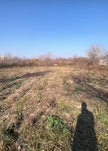 ismayillida torpaq sahesi satilir: 10 sot, Tikinti, Mülkiyyətçi, Kupça (Çıxarış) — 3