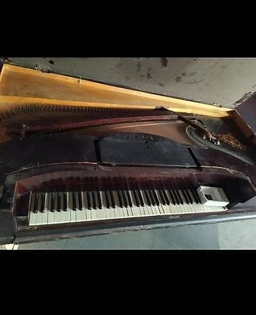 Antik kuyruklu piano – Wills. Pethmüller & Sohn, Göttingen - — 10
