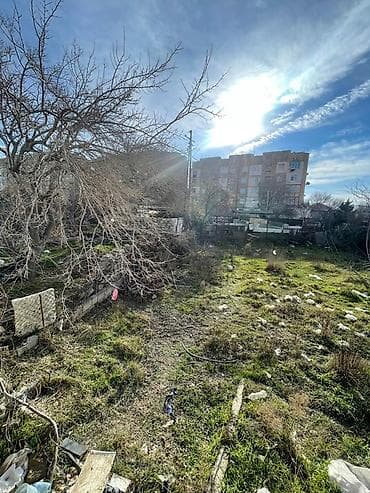 hesab satış: 10 sot, Kupça (Çıxarış) — 3