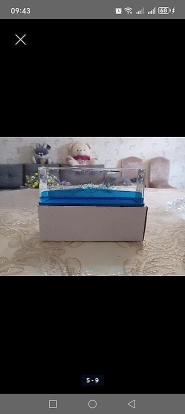 oyuncaq gitara: Mağaza bağlandığı üçün bütün mallar maya dəyərindən aşağı verilir — 8