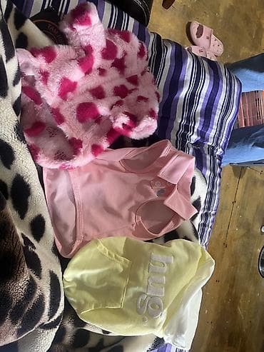 bal qabi: İşlenmeyib alınıb ite balaca geldiyi üçün satılır 1 yaşındakı ve aylıq — 1