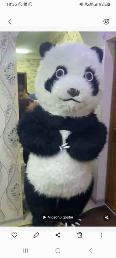 Məktəbli forması: Panda maskotu – tədbirlər üçün kostyum - Tam ölçülü, insan geyimi — 1