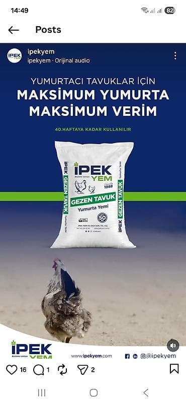 heyvan doşəyi: Məhsul: İPEK YEM – quşçuluq üçün peşəkar yem çeşidləri (Net 50 kq — 7