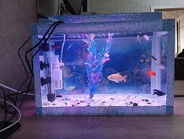 heyvanlar atlar: Akvaryum dəsti – tam işlək komplekt akvaryum, dekorativ “su damcısı” — 3