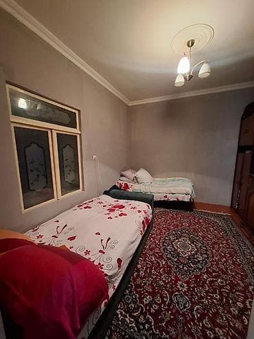 rozetkalar: Yeni, Azərbaycan — 2