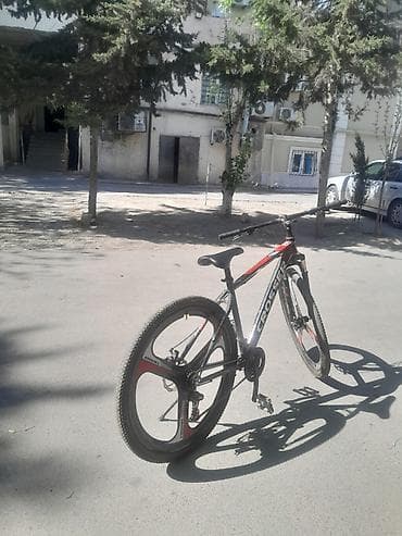 Saz vezyetde 29 lux skorus tormuz falan hamisi iwdiyir ter temizdi 1