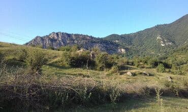 xacmazda torpaq: 130 соток, Для сельского хозяйства — 5